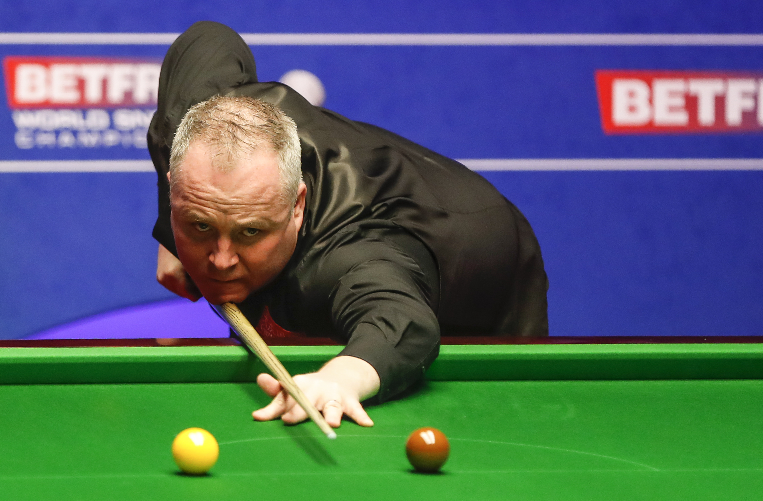 今年的羽毛 今年的羽毛